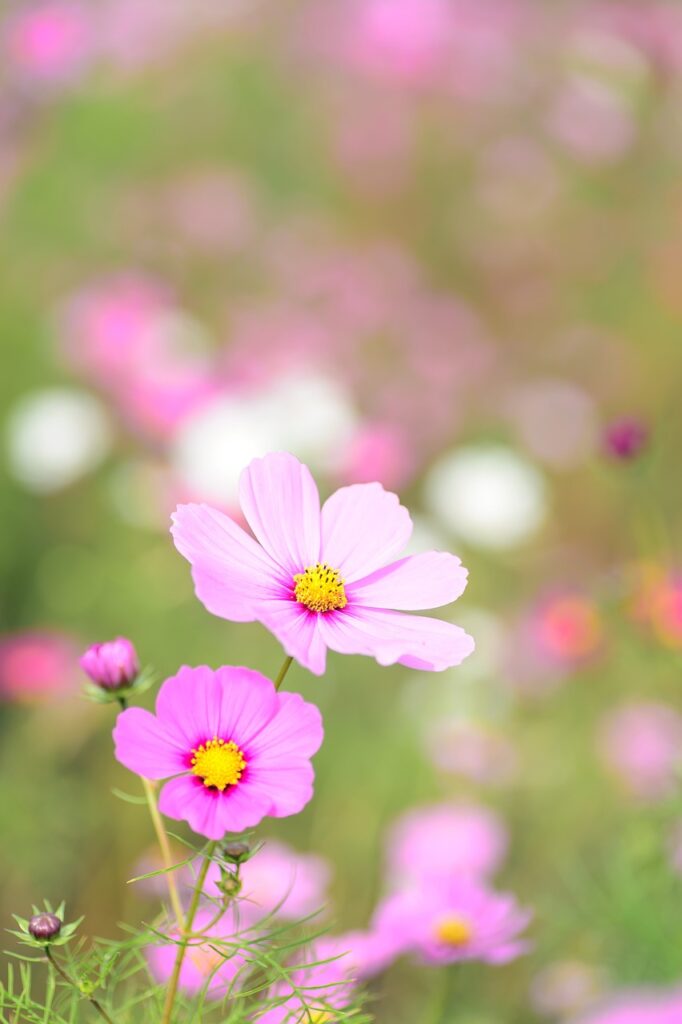  The Allure of Flower Theme Wallpaper: Bringing Nature Indoors