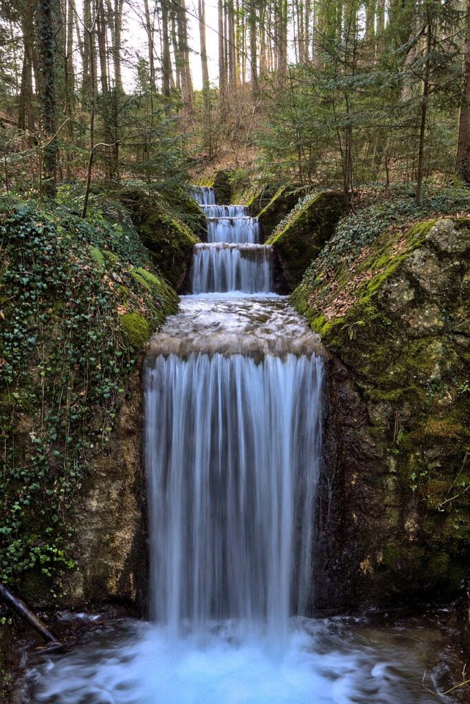 Embracing the Outdoors: The Allure of Nature Phone Wallpapers