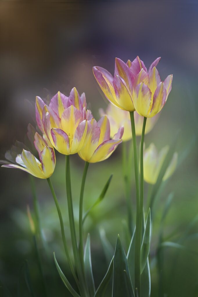  The Allure of Flower Theme Wallpaper: Bringing Nature Indoors