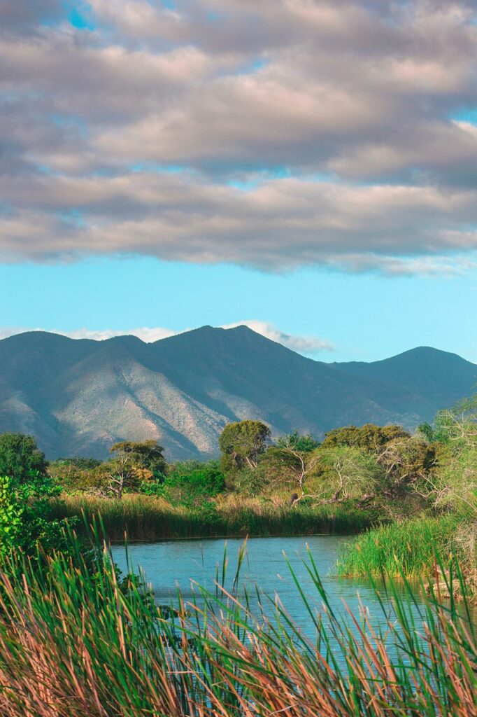 The Serenity of Nature Backgrounds: A Journey into Tranquility 