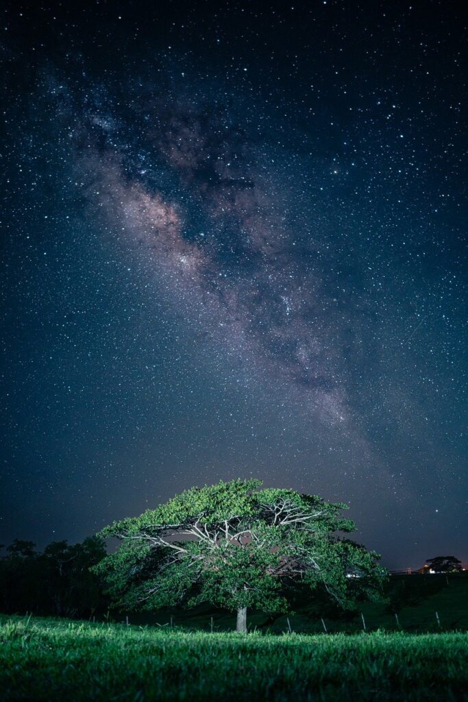 Dreaming Under the Stars: The Allure of Night Sky Wallpapers for Your Phone